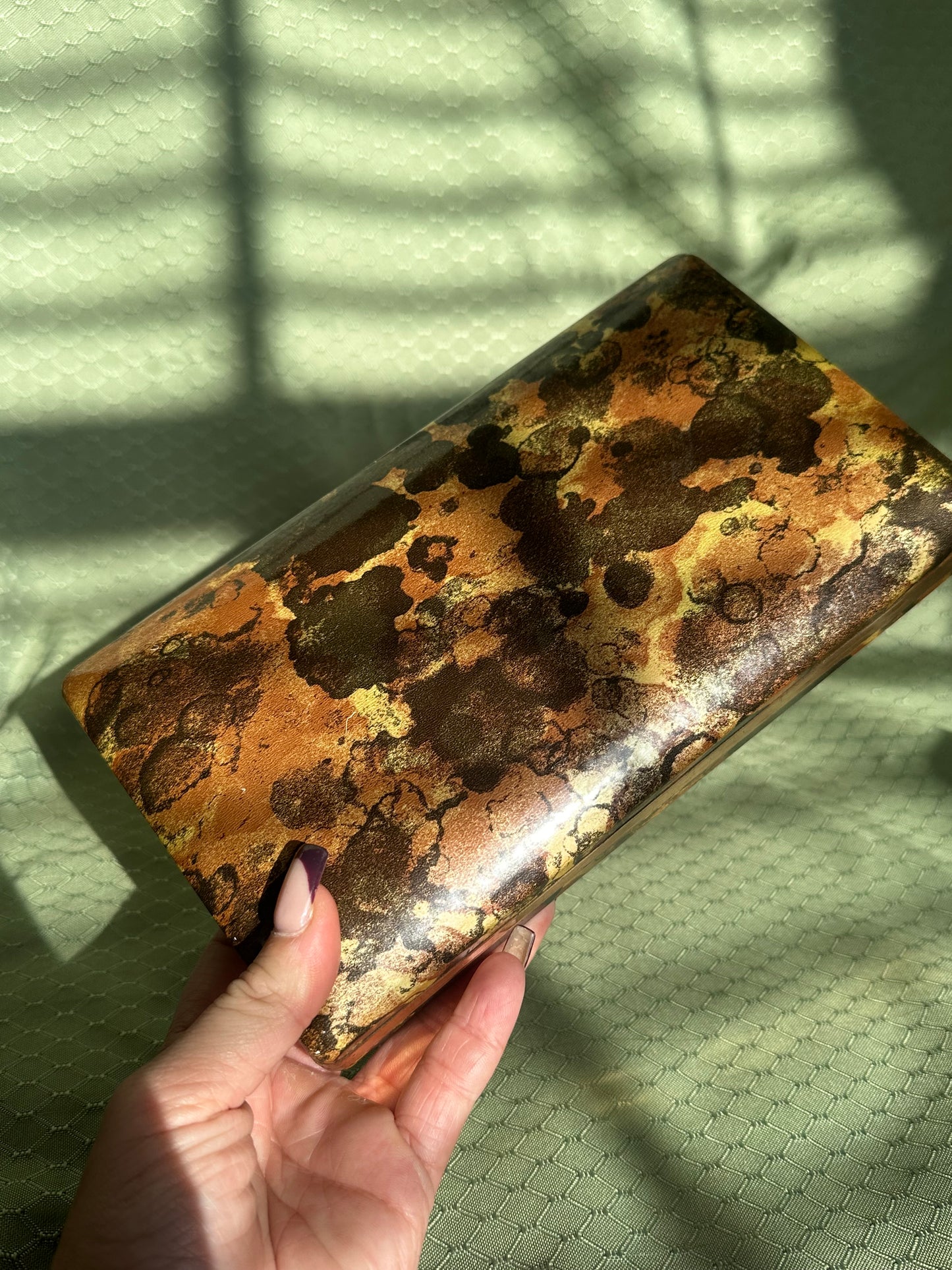 Tortoise Shell