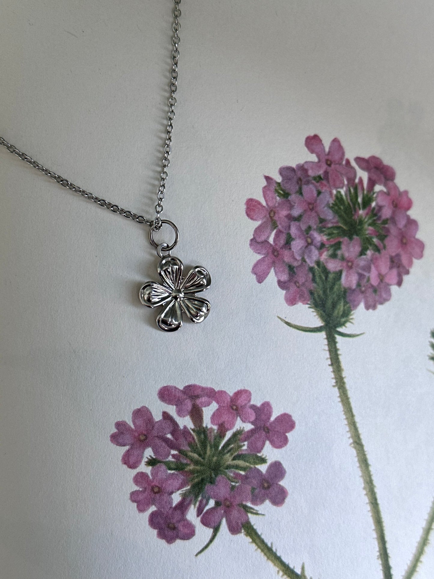 Bloom