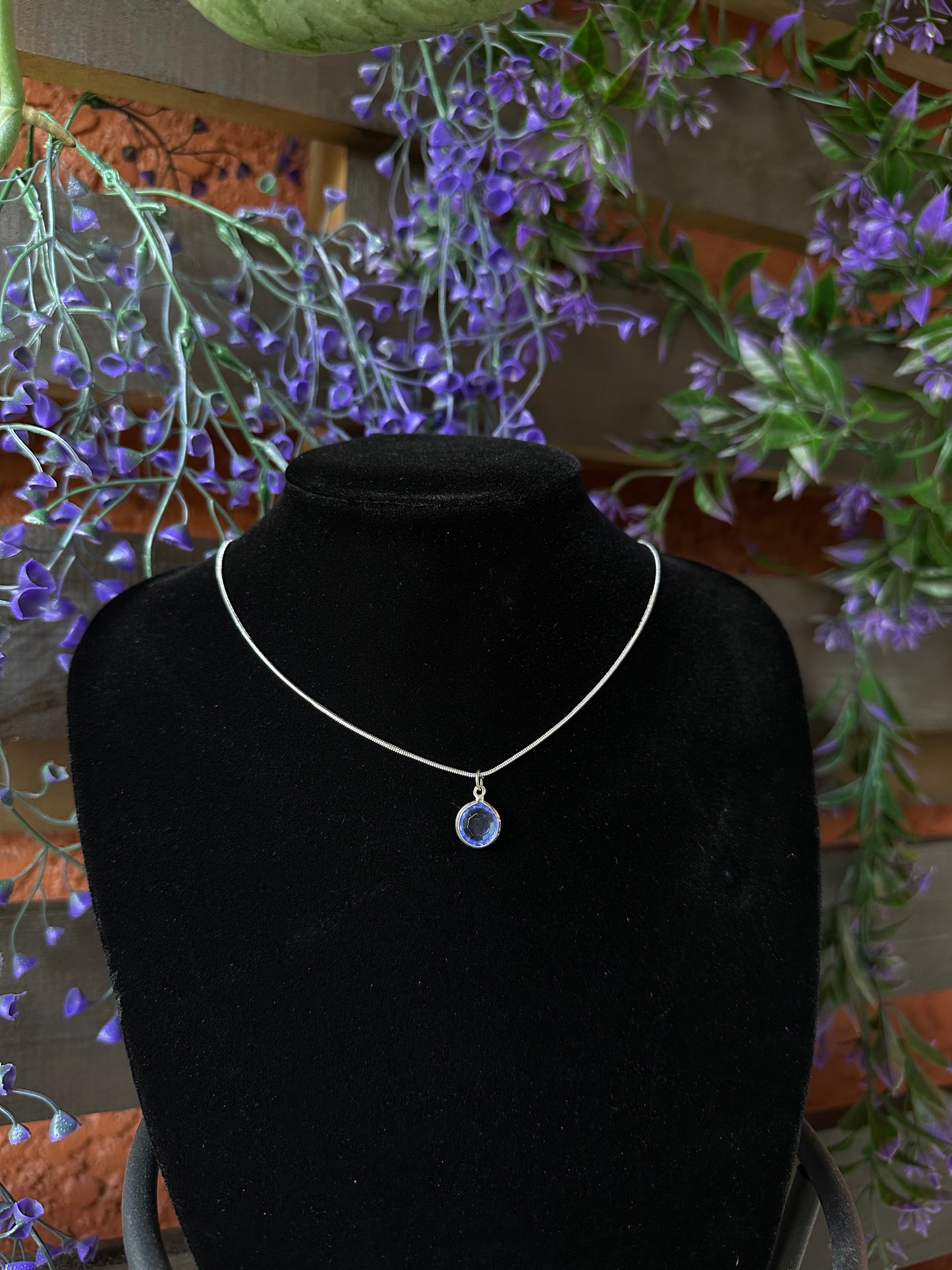 Blue Stargazer