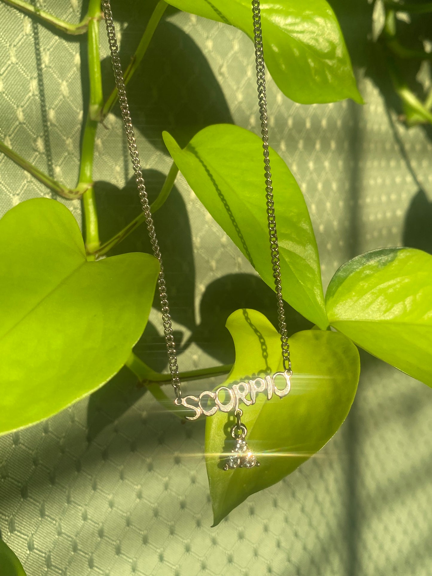 Scorpio Nameplate Necklace