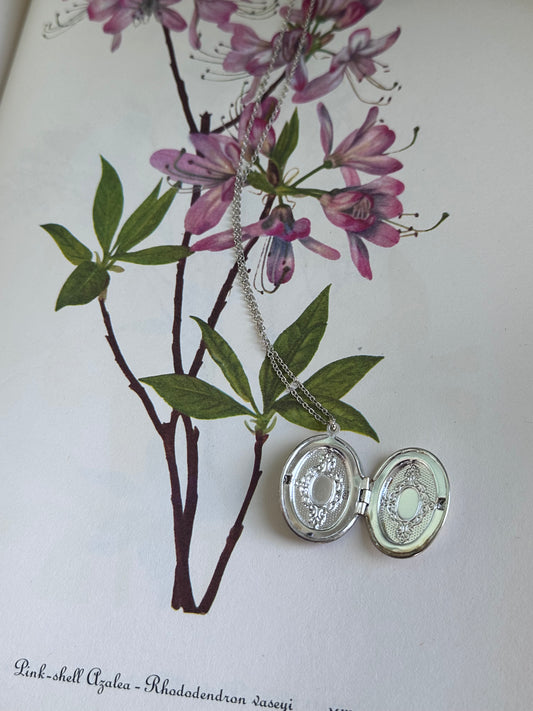 Lover Locket