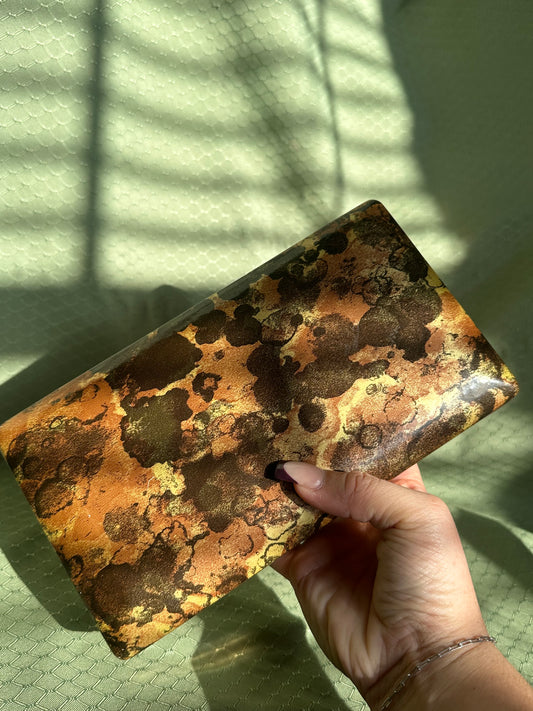 Tortoise Shell