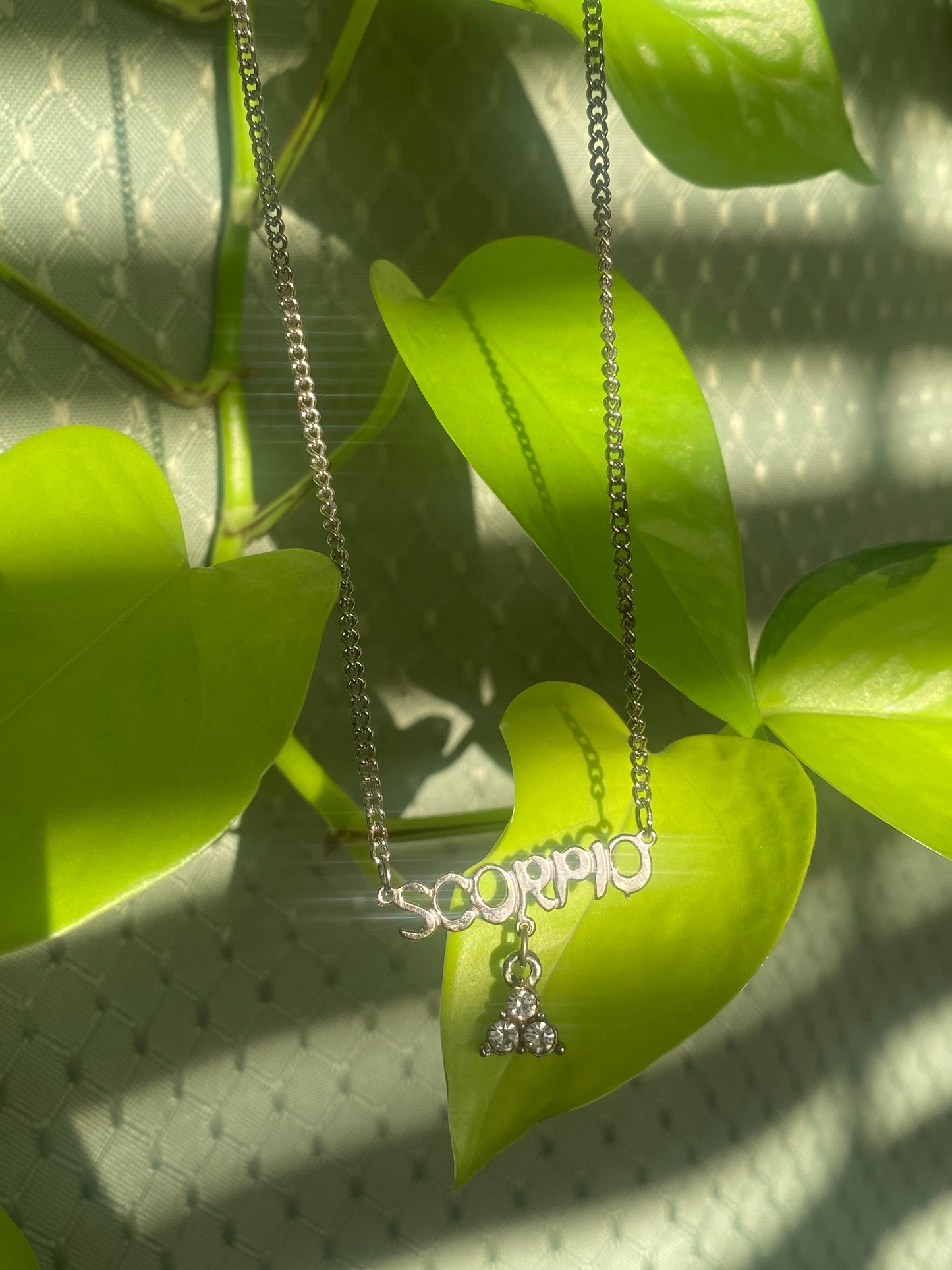 Scorpio Nameplate Necklace