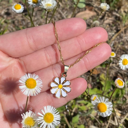 Daisy Dreams